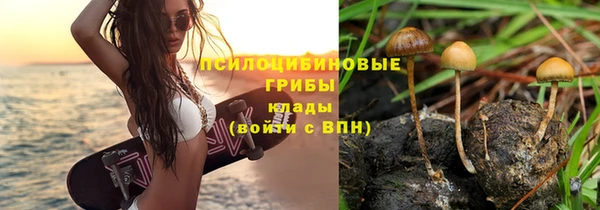 a pvp Богородск