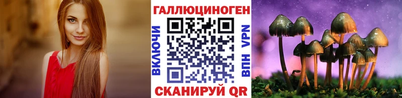 магазин  наркотиков  Коркино  Псилоцибиновые грибы GOLDEN TEACHER 